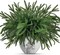 12 Pcs Christmas Norfolk Pine Branches (Green) 17"D x 22"W x 14"H